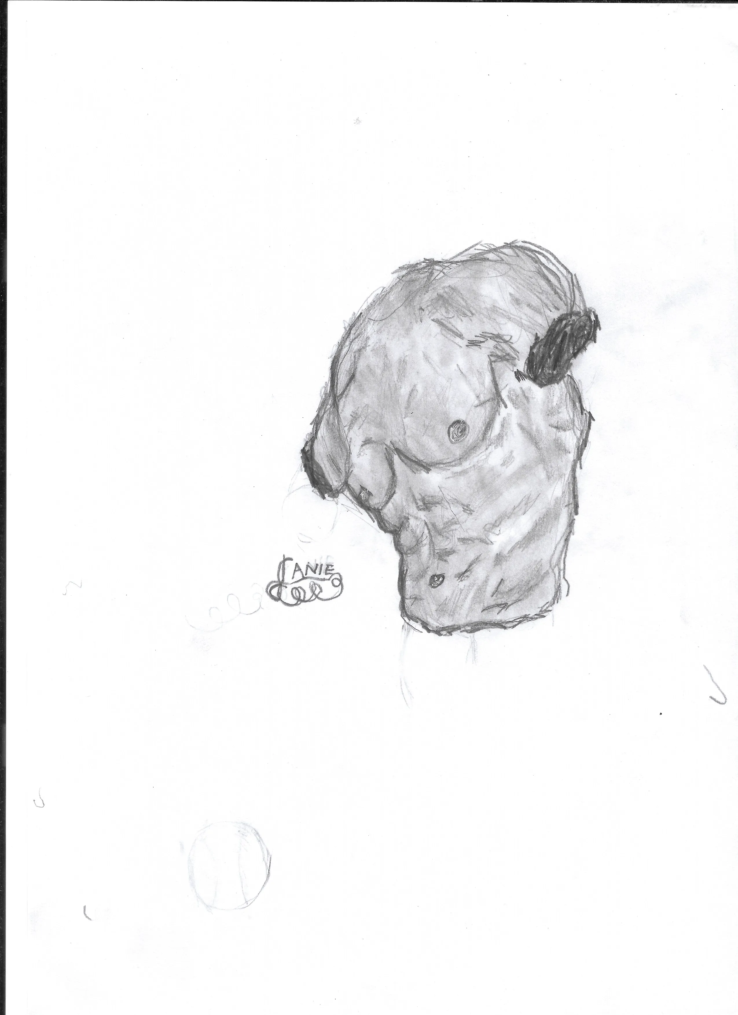 Torso